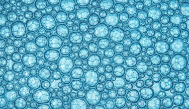 texture of air bubbles in blue water