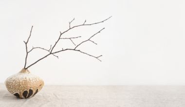 Wabi-sabi: the Japanese art of finding beauty in imperfection and simplicity