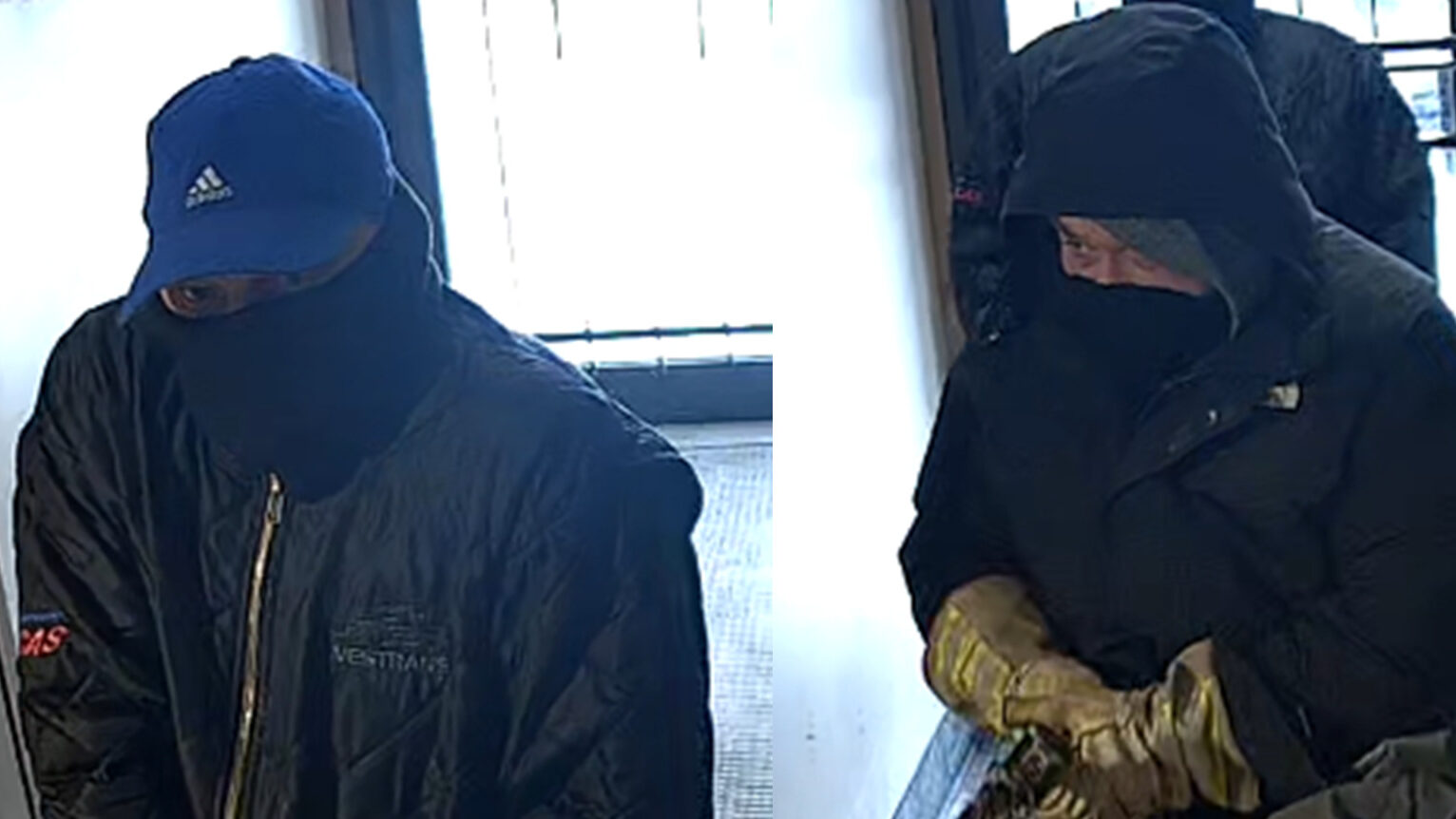 Winnipeg jewellery store asking public for help finding 2 armed robbers