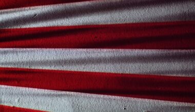 The American flags planted by Apollo astronauts have likely bleached pure white after 50 years of unfiltered solar radiation, leaving the most famous banners in history standing as blank cloth