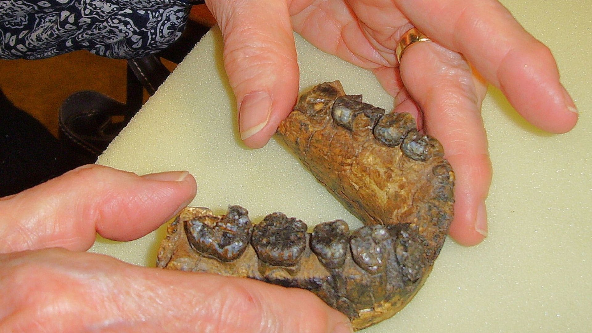7 oldest things found on Earth that reveal our planet’s deep past