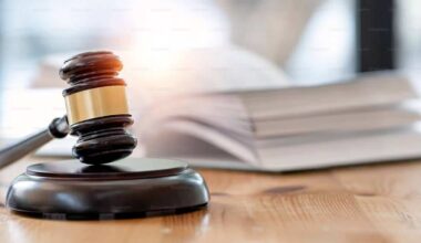 judge bail peel police mississauga brampton