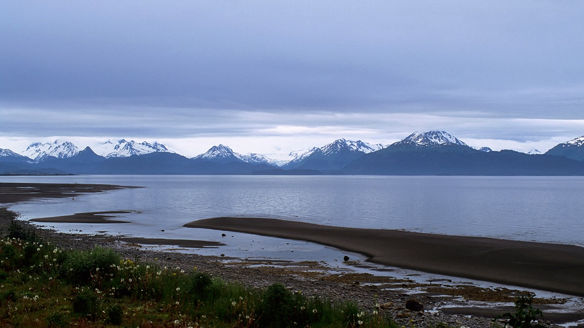 A man and two juveniles standing near wreckage of a crashed plane on Kenai Peninsula Alaska