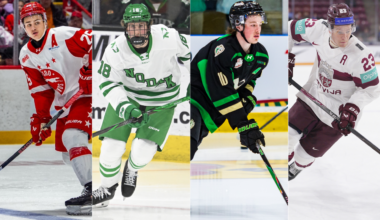 2026 NHL Draft: Reid, Carels, Verhoeff among best defensemen