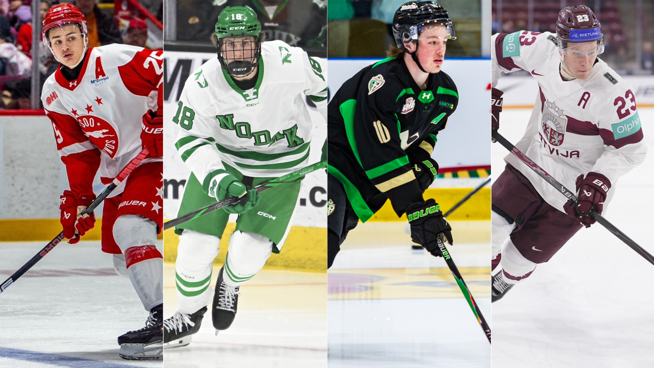 2026 NHL Draft: Reid, Carels, Verhoeff among best defensemen