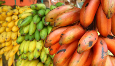 Red Vs Yellow Bananas: Which Fruit Has More Potassium?