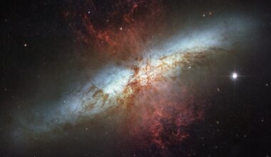 The James Webb telescope picked out 16.5 million individual stars in the Cigar Galaxy — a neighbor forming stars ten times faster than the Milky Way, in a burst estimated to last only a few hundred million years