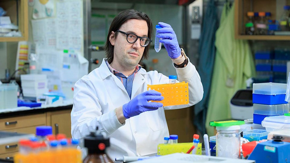 USask medical researcher earns prestigious Stem Cell Network honours in Canada | GX94 Radio - Now That's Country!