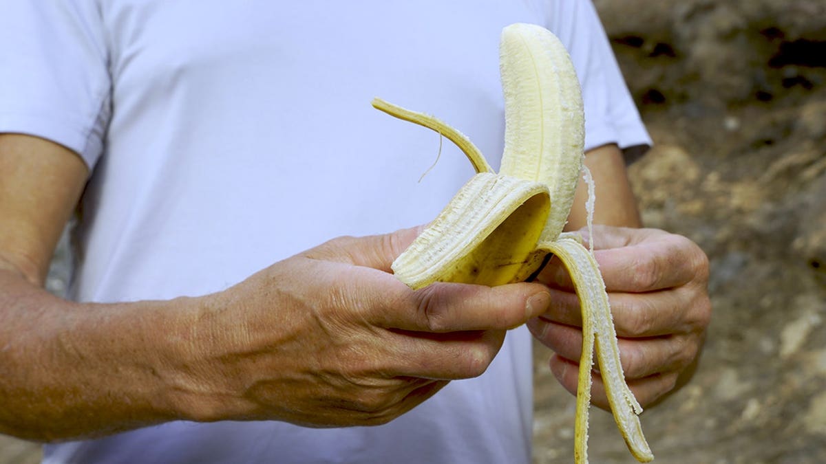 Mature man peeling a ripe banana outdoors.