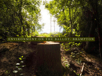 ‘Master plans just for show’: Brampton citizens group putting environment on the ballot as emissions rise