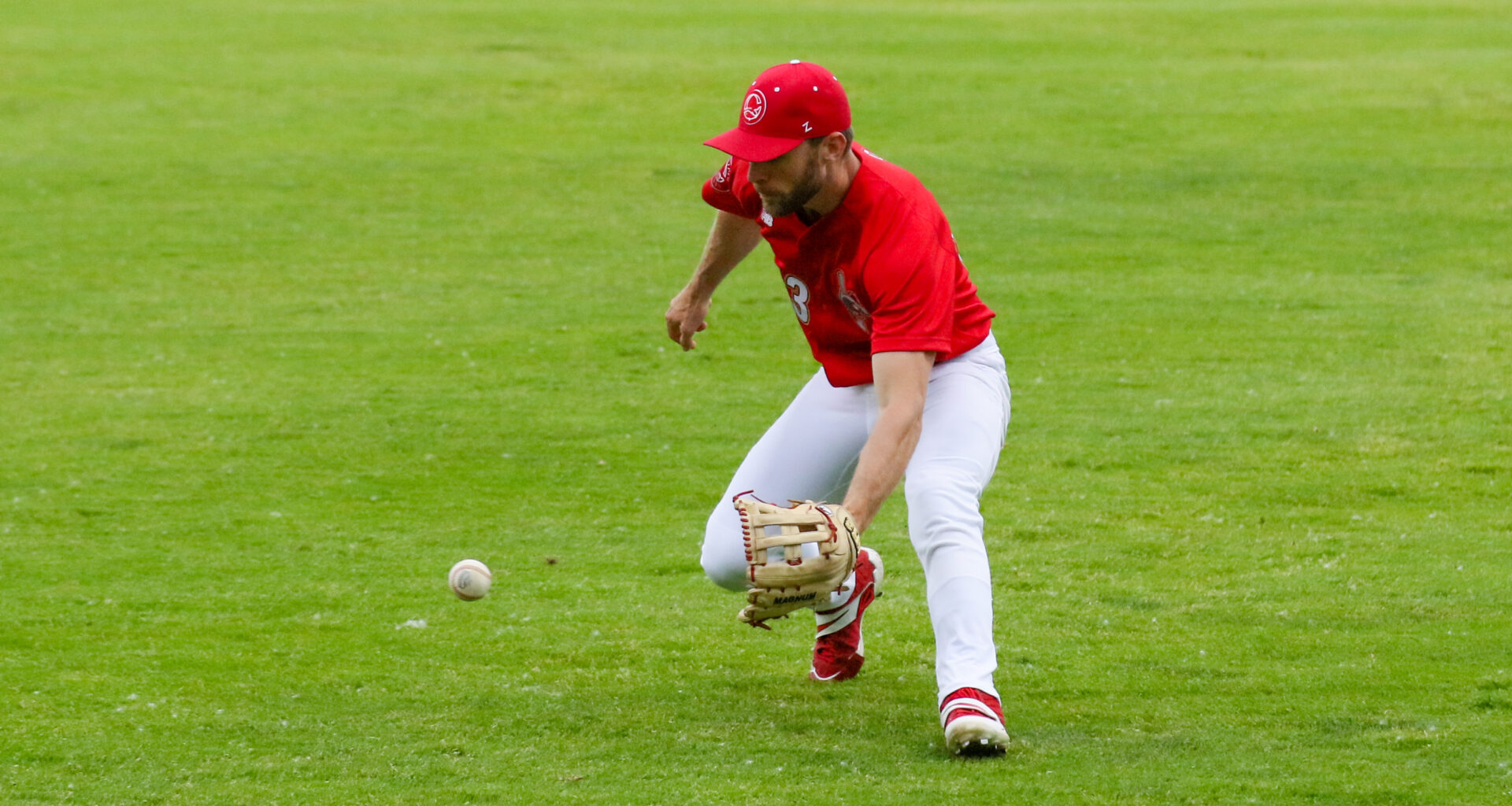 Dogs pull away late to beat Goldeyes