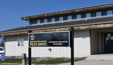 Child in Manitoba charged over video showing dogs being struck with axe - Winnipeg