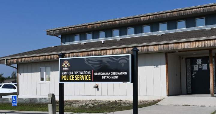 Child in Manitoba charged over video showing dogs being struck with axe - Winnipeg