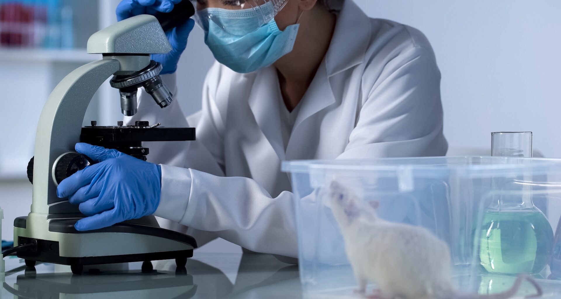 A scientist in a lab coat examines a sample under a microscope beside a white rat in a clear container.