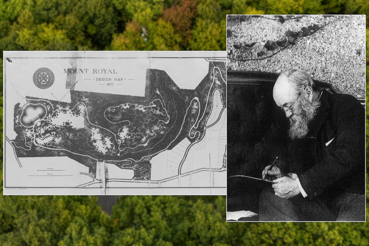 An 1877 map of Mount Royal next to an image of Frederick Law Olmsted writing in a book.