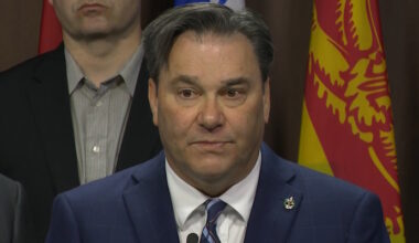 NDP MP Calls Federal AI Strategy 'Superficial'