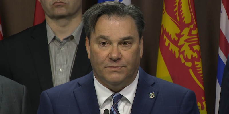NDP MP Calls Federal AI Strategy 'Superficial'