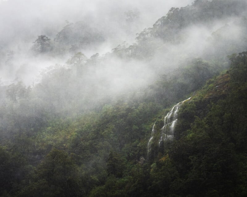 A misty forested hillside with a waterfall cascading down through lush green trees. The scene is enveloped in thick fog, creating a serene and mysterious atmosphere.