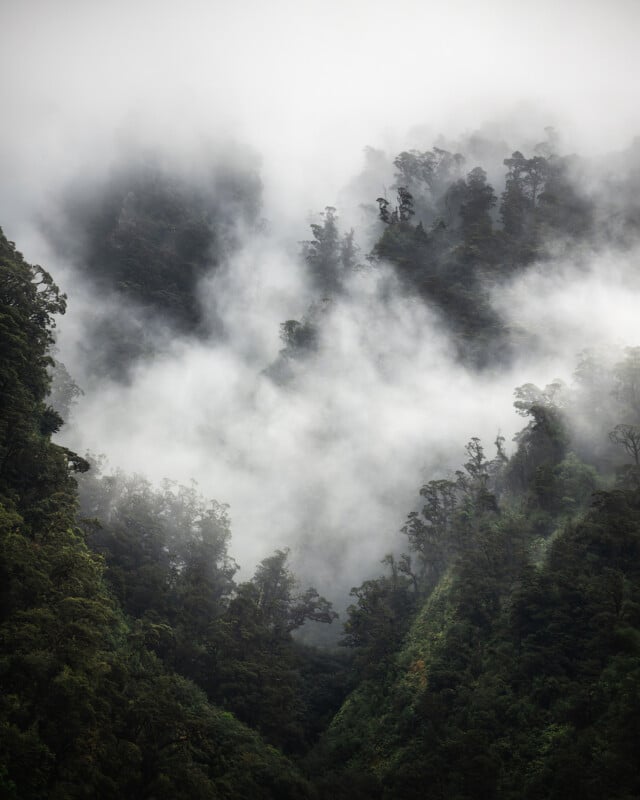 Dense, green forested mountains shrouded in thick, low-hanging mist and clouds, creating a mysterious and serene atmosphere. The tops of the trees peek through the fog.