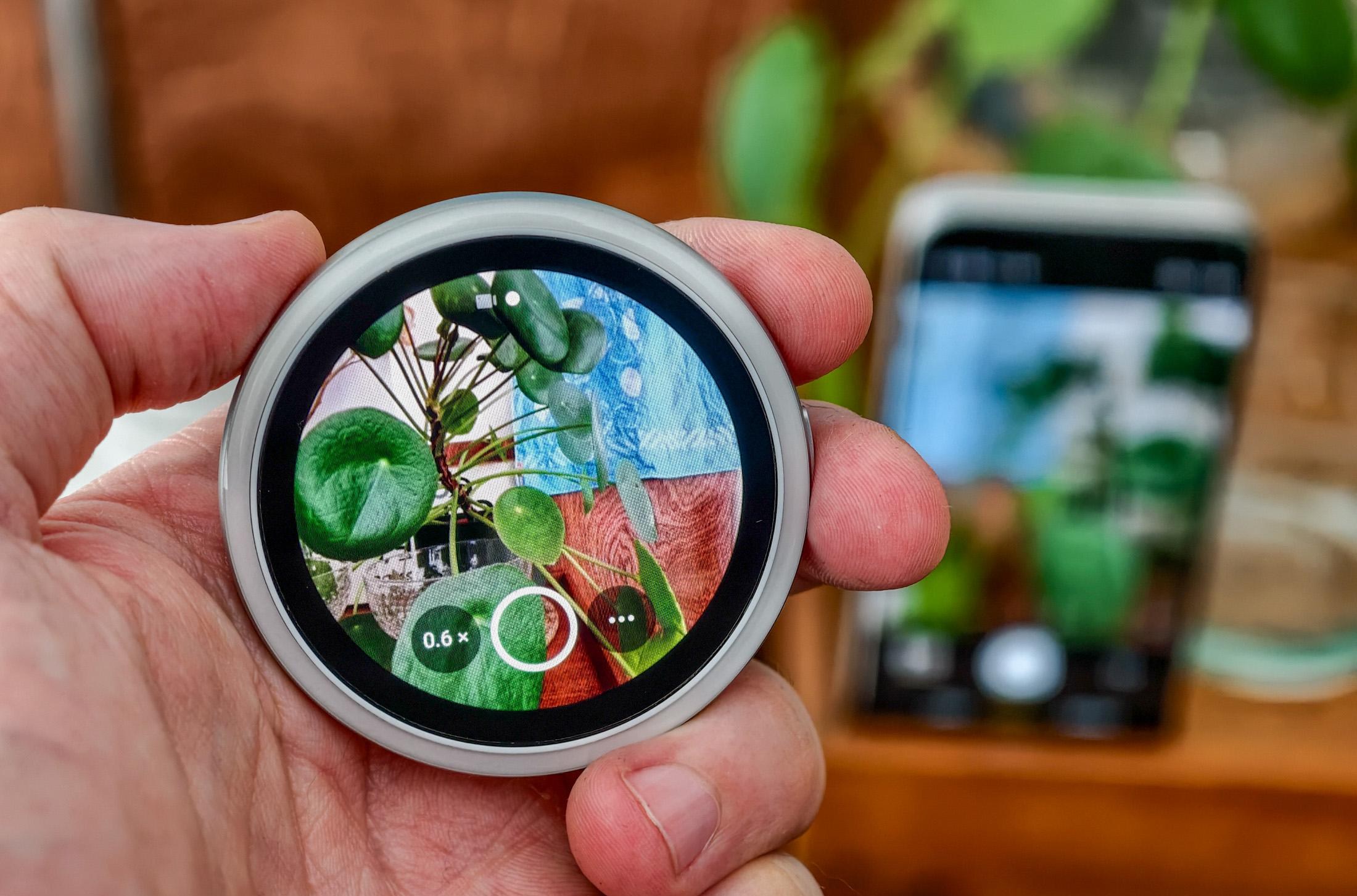Photo of Oppo Bubble taking a photo of a plant as a camera remote