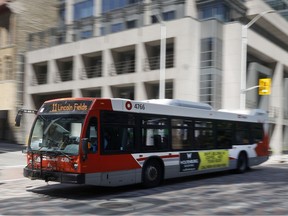 OC Transpo bus in downtown Ottawa in a file photo. A new audit says the transit agency's reorganization of bus routes was based on data years out of date.