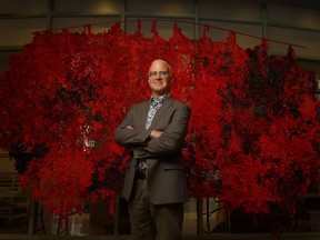 Ottawa mayoral candidate Jeff Leiper poses for a photo. Leiper is one of four candidates registered in the mayoral race.