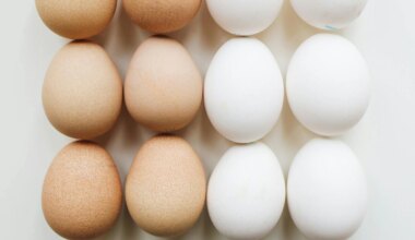 Protein Rich Food Good For Health