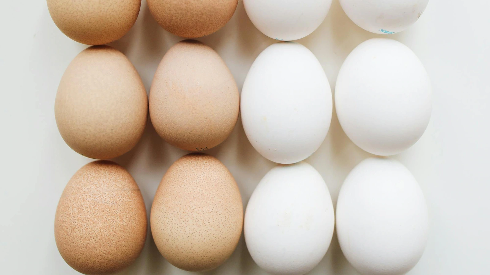 Protein Rich Food Good For Health