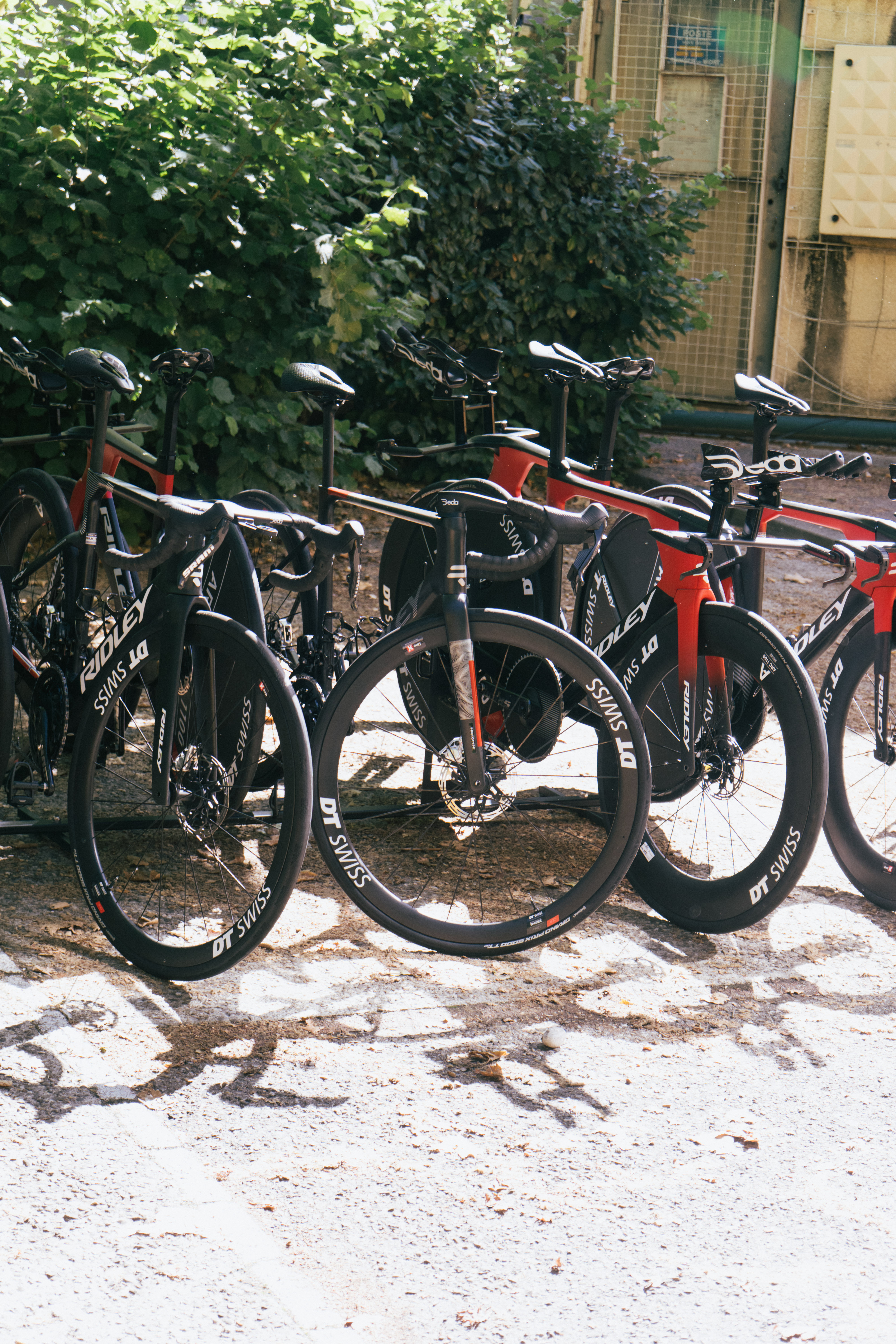 Ridley Prototype