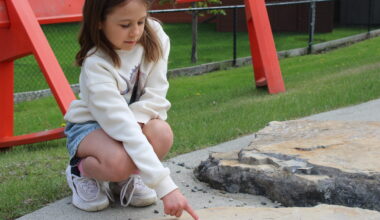 Young girl discovers rare ancient fossil at Calgary playground
