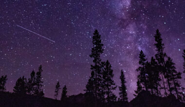 perseids meteor shower ontario 2026