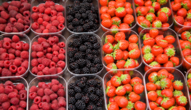 brampton farmers market fruit vegetables