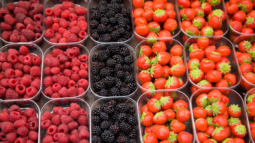 brampton farmers market fruit vegetables
