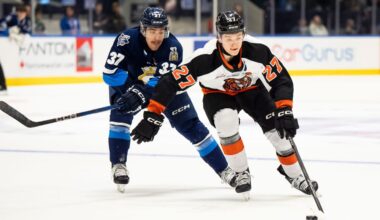 Canadiens prospect Bryce Pickford named CHL Defenceman of the Year