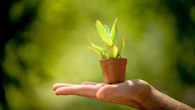 For how long will the Earth stay ‘green’? New scientific model finally has a definite answer