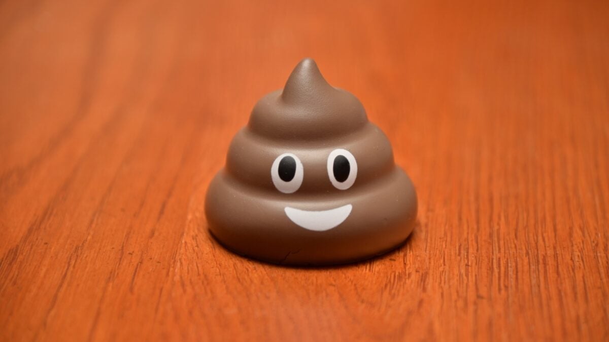 The Poop Emoji Got Gravity Right, Physicists Find