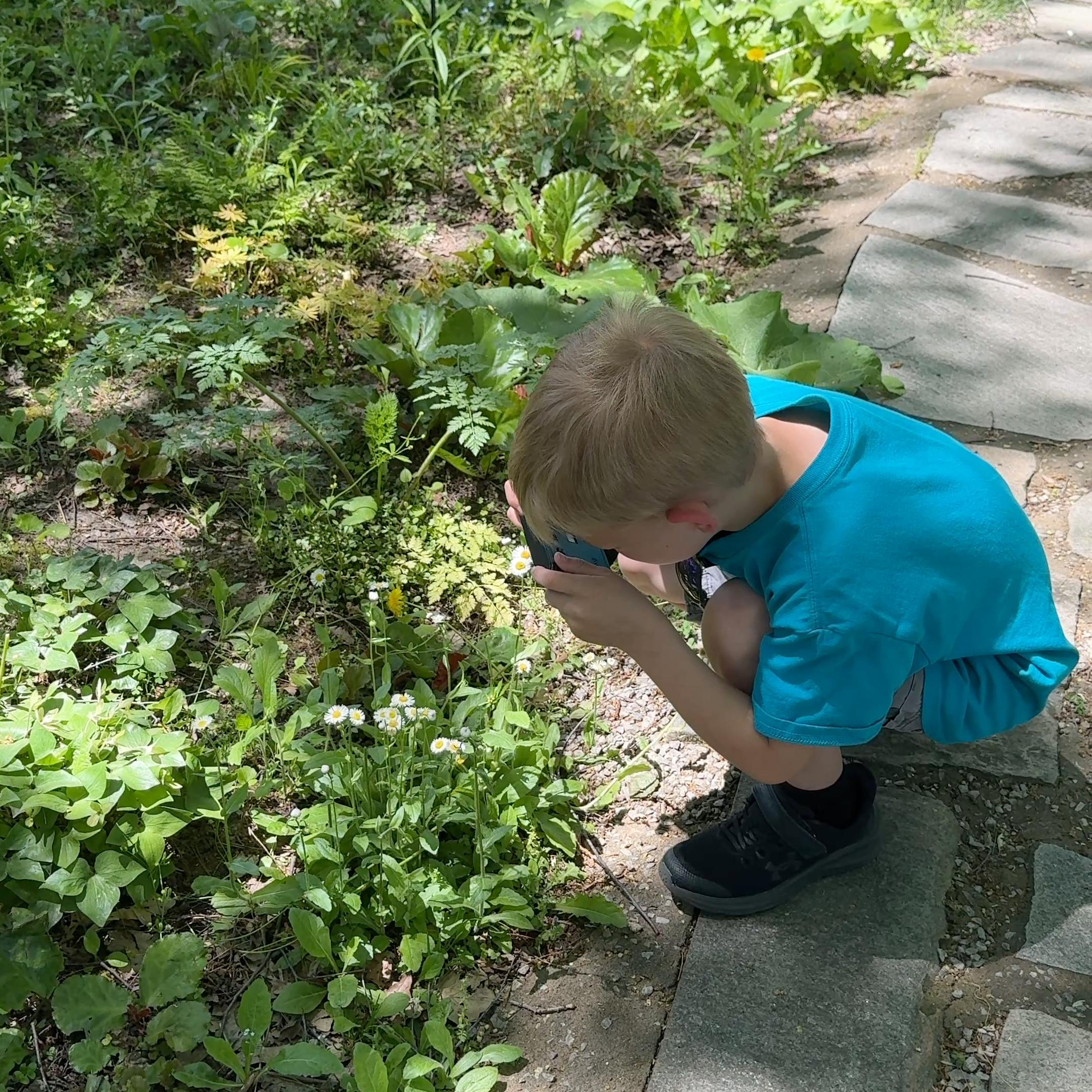 A kid taking a photo of a dandelion with the Camp Snap 2 camera