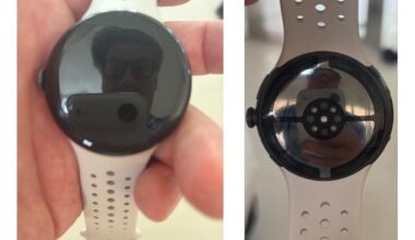 The Google Pixel Watch 5 may have been spoiled by… the creator of Borderlands