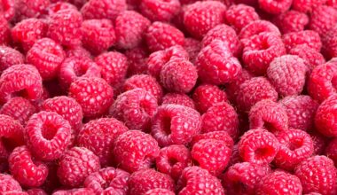 Dietitian recommends 'surprising' fruit to boost daily fibre intake