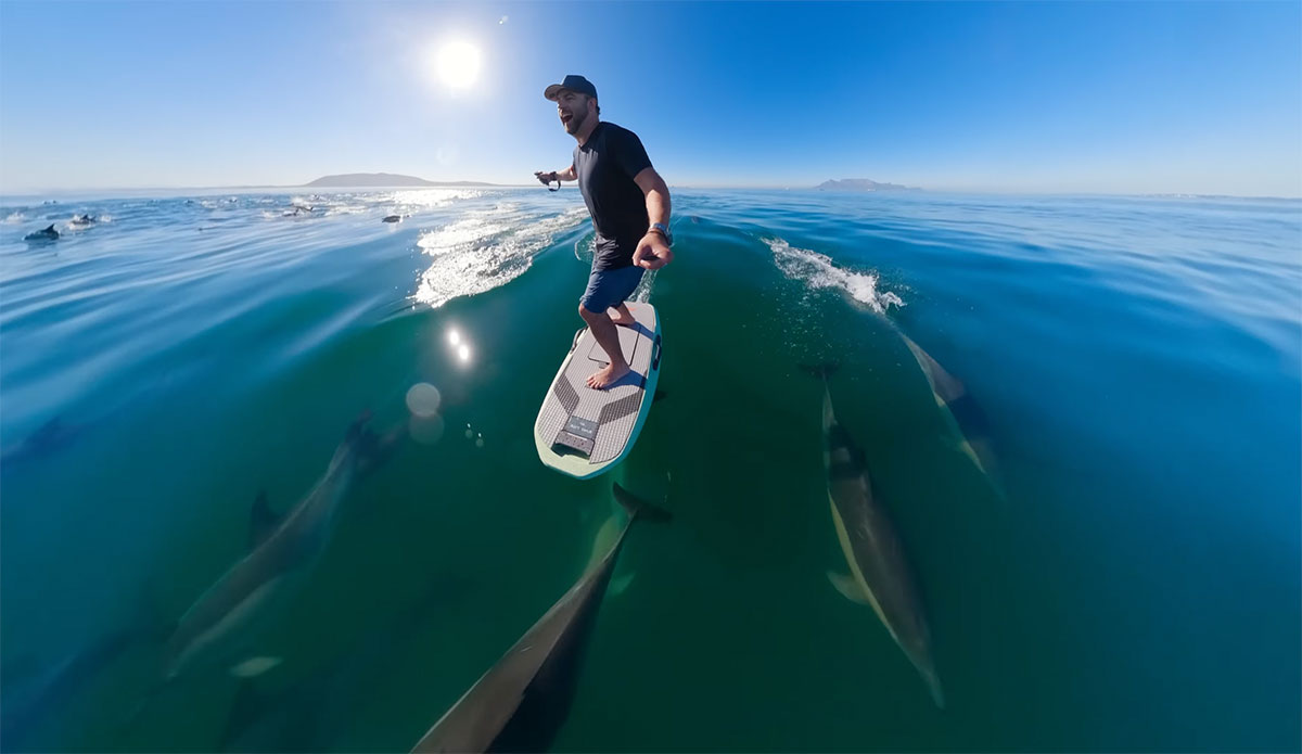 Dolphins surfing alongside e-foiler