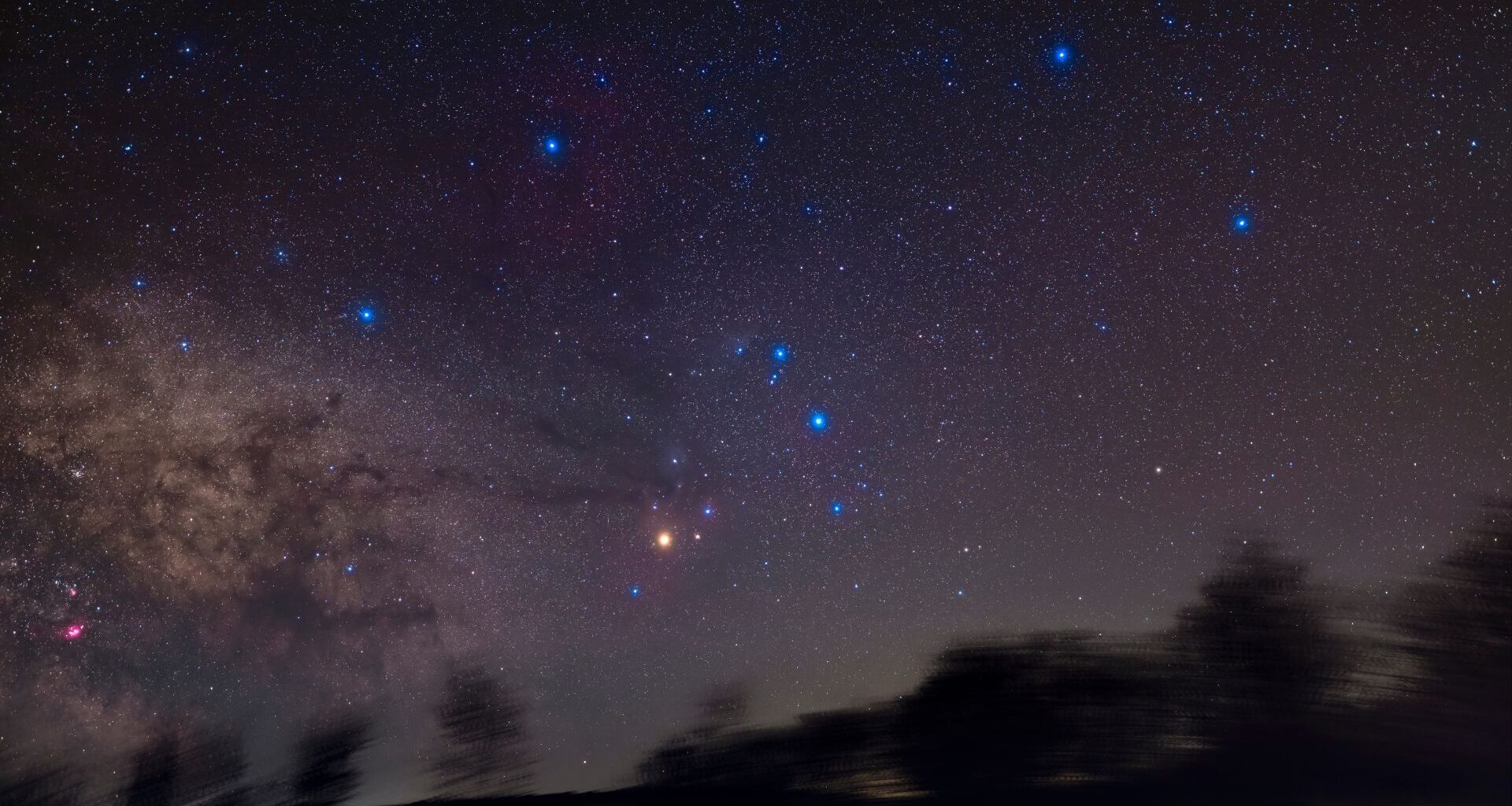 Bright blue stars are pictured above a blurred treeline in the night sky. The glow of the Milky Way is visible to the lower left of the image.