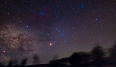 Bright blue stars are pictured above a blurred treeline in the night sky. The glow of the Milky Way is visible to the lower left of the image.
