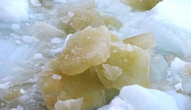 Ocean Waves Contribute To The Seasonal Melting Of