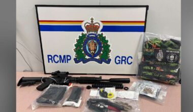 CBSA package interception in Mississauga leads to weapons and smuggling charges in Newfoundland