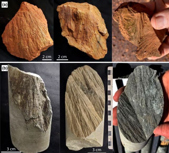 Geologists Went Looking For Gold. They Found Something Far Rarer.