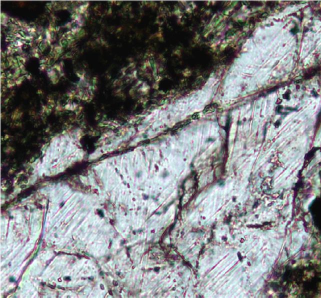 Geologists Went Looking For Gold. They Found Something Far Rarer.