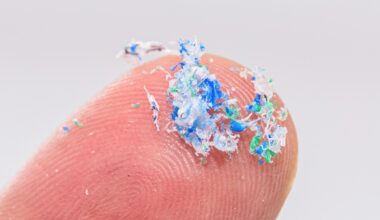 Microplastics mapped deep in living tissue for the first time