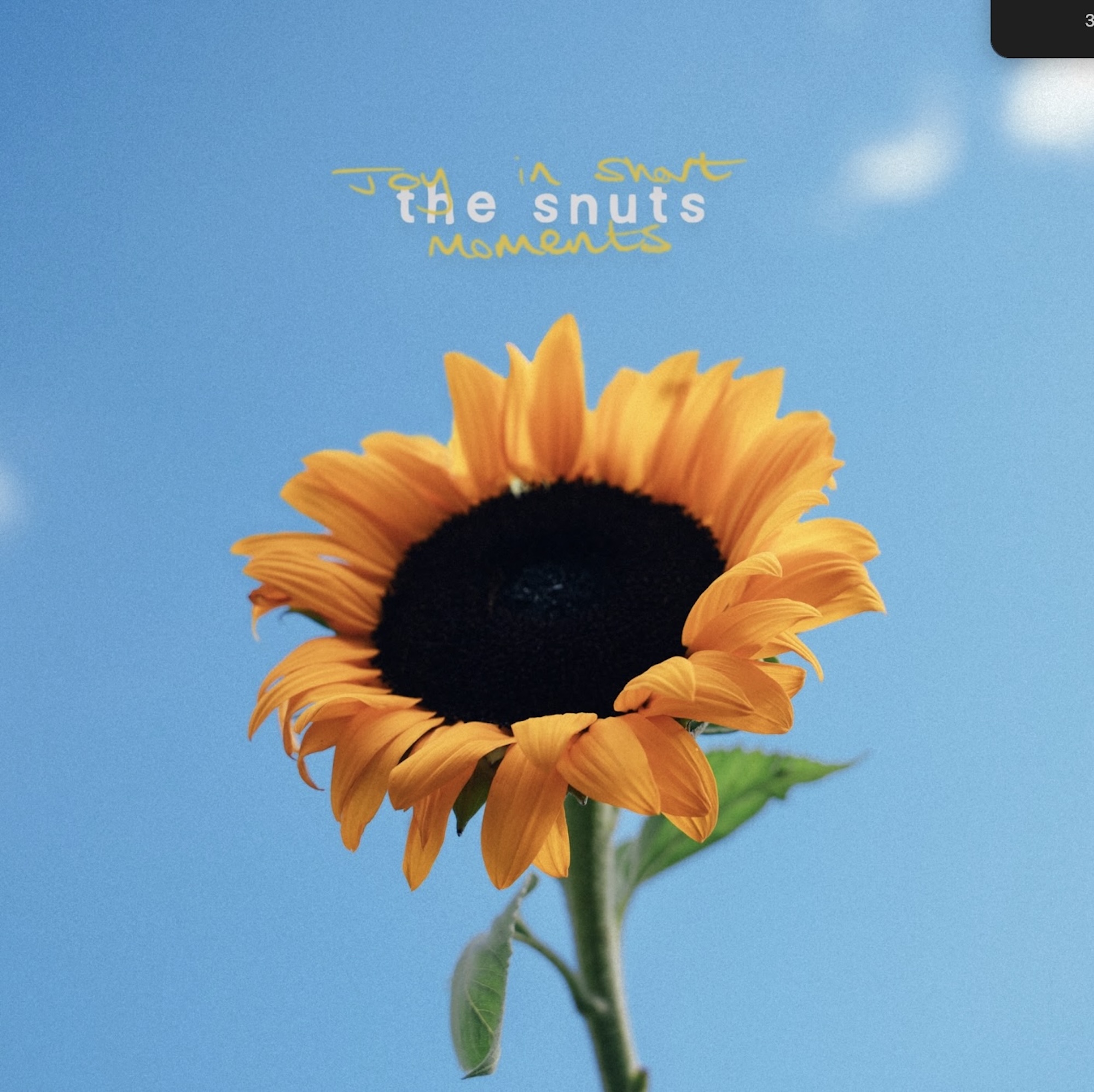 The Snuts 'Joy In Short Moments' artwork