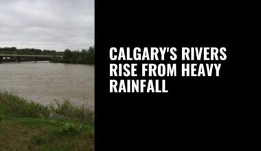 Calgary’s rivers rise from heavy rainfall