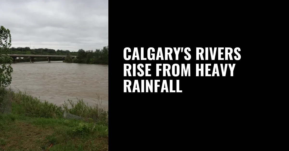 Calgary’s rivers rise from heavy rainfall